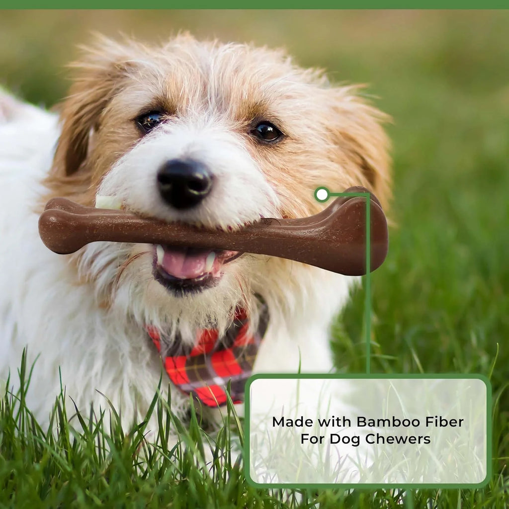 Bone - Made with Strong Bamboo Fiber, Durable Long Lasting Dog Chew for Light to Moderate Chewers, Great Toy for Adult Dogs & Teething Puppies under 25Lbs, 5.75In, Bacon Flavor