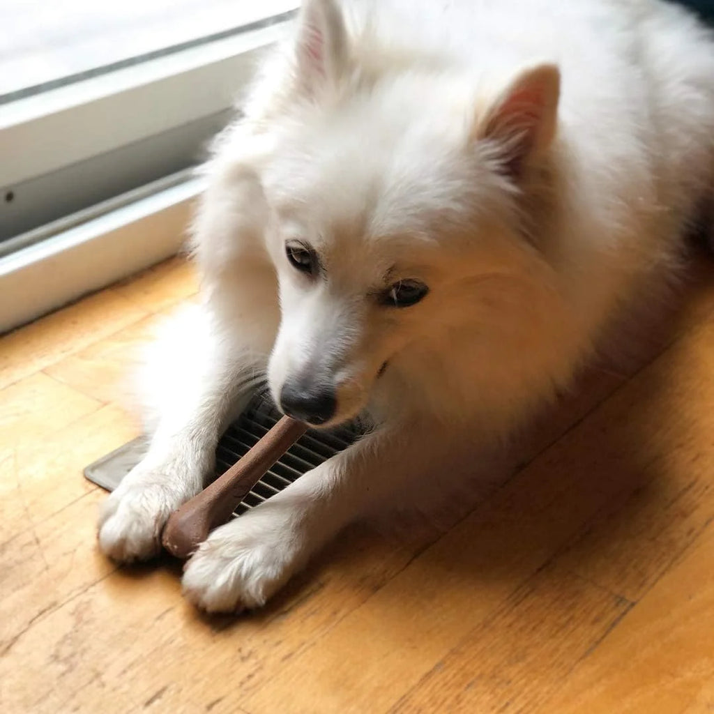 Bone - Made with Strong Bamboo Fiber, Durable Long Lasting Dog Chew for Light to Moderate Chewers, Great Toy for Adult Dogs & Teething Puppies under 25Lbs, 5.75In, Bacon Flavor