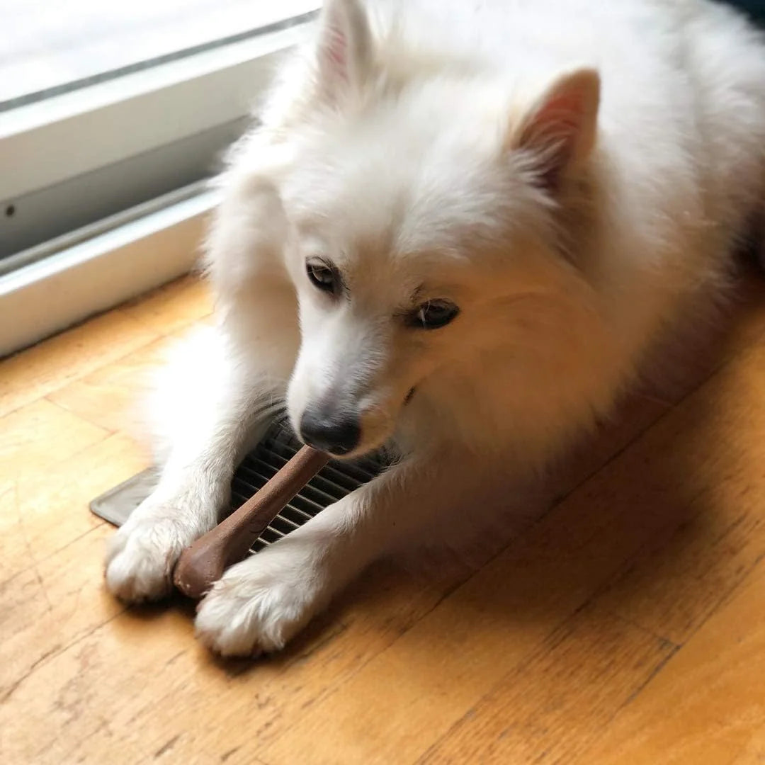 Bone - Made with Strong Bamboo Fiber, Durable Long Lasting Dog Chew for Light to Moderate Chewers, Great Toy for Adult Dogs & Teething Puppies under 25Lbs, 5.75In, Bacon Flavor