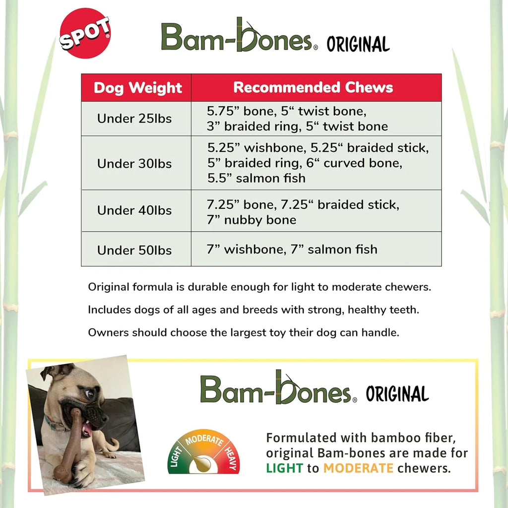 Bone - Made with Strong Bamboo Fiber, Durable Long Lasting Dog Chew for Light to Moderate Chewers, Great Toy for Adult Dogs & Teething Puppies under 25Lbs, 5.75In, Bacon Flavor